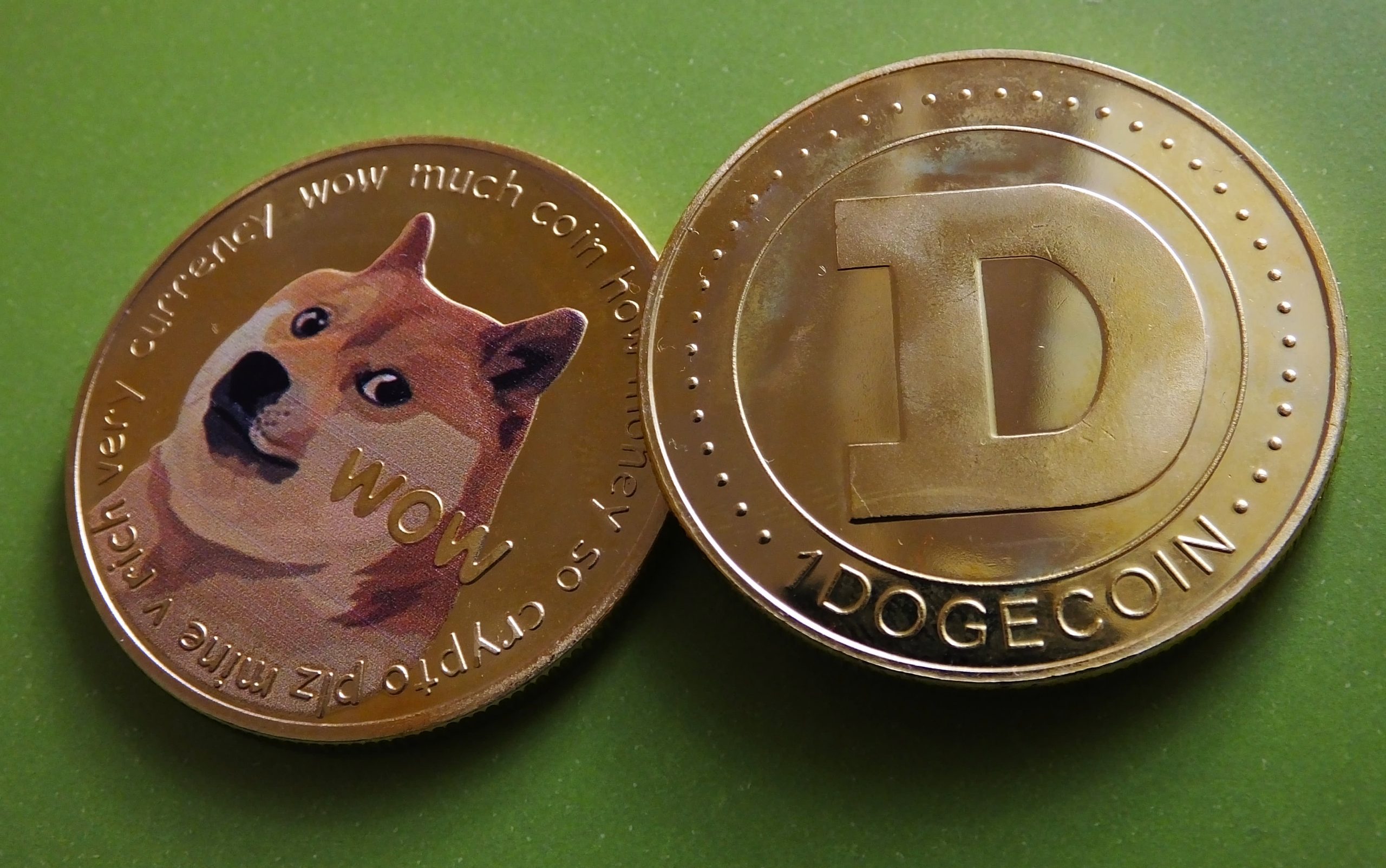 The Next Big Thing: Dogecoin