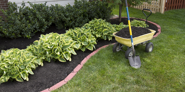 Why Professional Mulch Services Are Essential for Your Landscaping