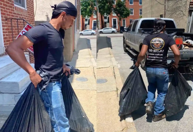 junk removal and services