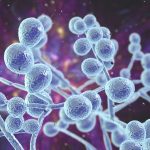 Laboratory Innovation Supporting Consistent Scientific Investigation Through Advanced Peptide Research