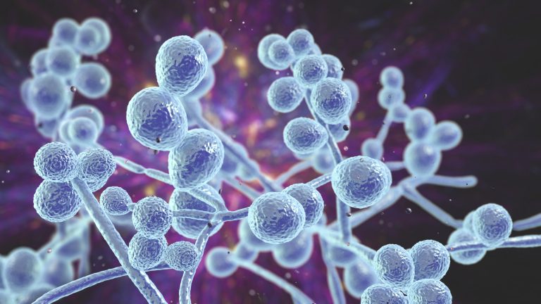 Laboratory Innovation Supporting Consistent Scientific Investigation Through Advanced Peptide Research